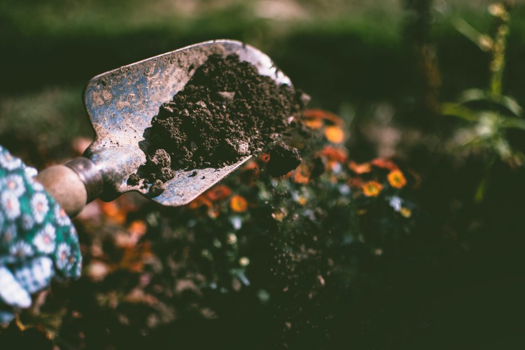 Image of gardening shovel with the soil